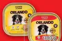 Orlando Angebote bei Lidl - Juni 2026 - marktguru.at